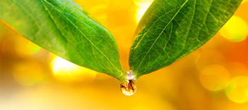 Vitae Health Center helps people of all ages and walks of life discover their new, natural path to renewed health!